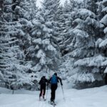 Ski de fond en Laponie