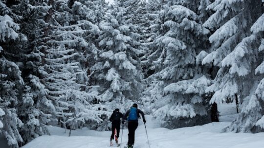 Comment vivre une expérience inoubliable en ski de fond en Laponie ?