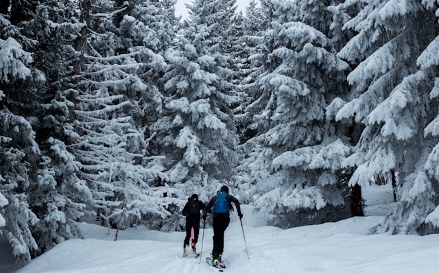 Comment vivre une expérience inoubliable en ski de fond en Laponie ?