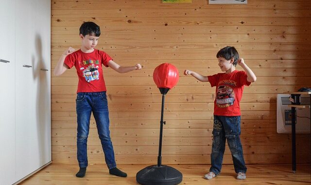 punching ball punching ball