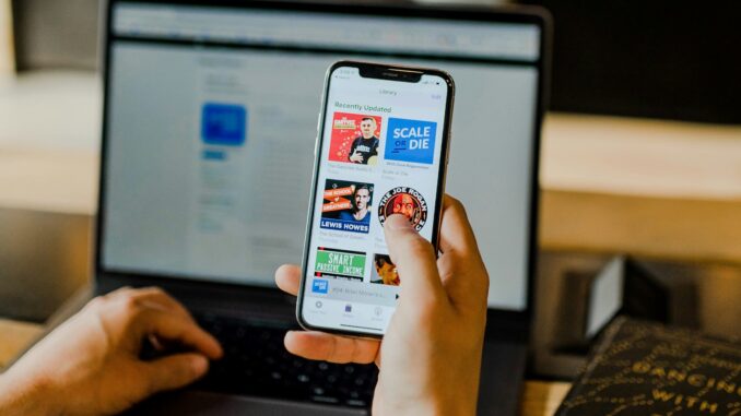 Utilisation des plateformes de netlinking