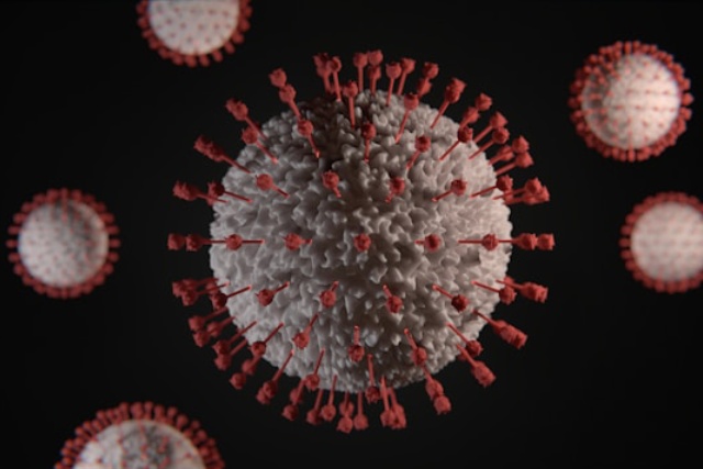 maladies infectieuses